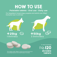 Joint support supplement for large breed dogs