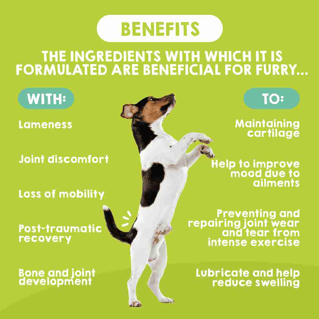 Benefits of joint support for dogs and cats
