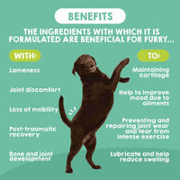 Maikai Pets joint support supplement for large dogs