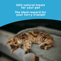 Natural fish snacks for dogs and cats as treats