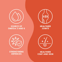 Salmon oil supplement for pets