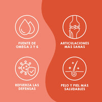 Aceite de salmón noruego para perros.