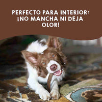 Astas de ciervo como juguete natural para perros – mordedores duraderos que fortalecen la dentadura y mantienen entretenida a tu mascota