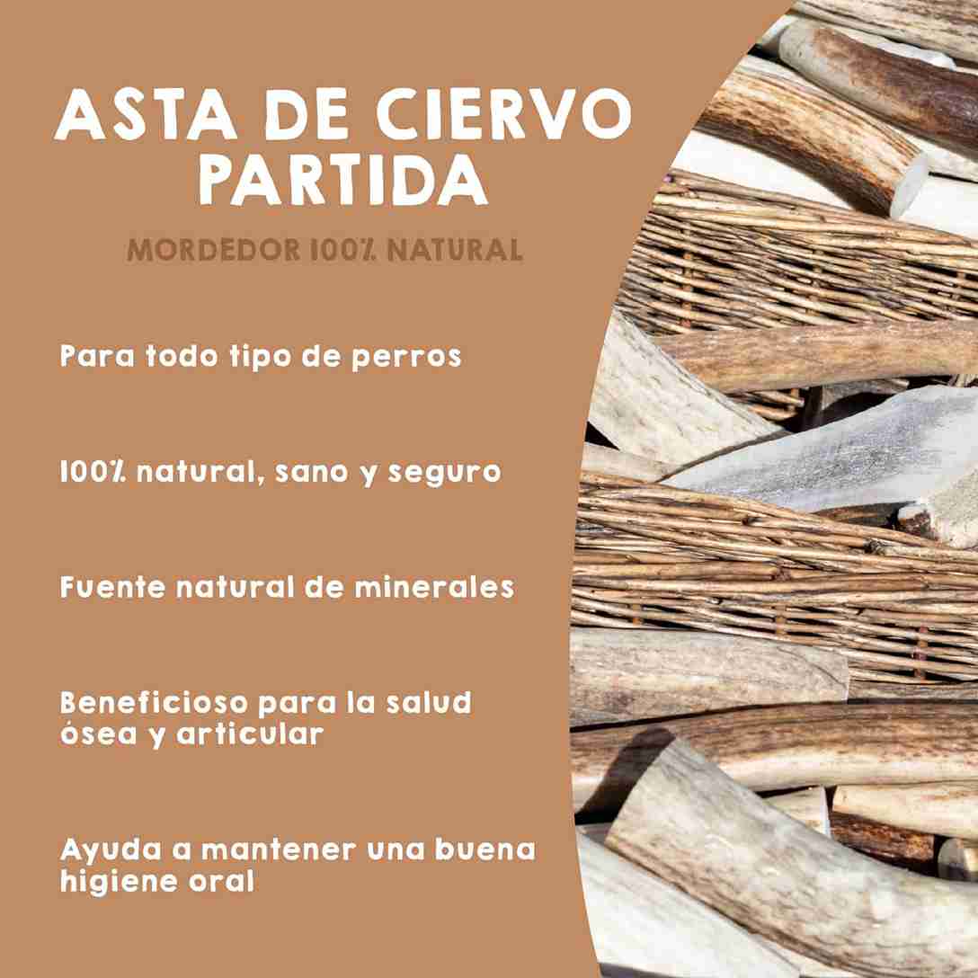 Astas de ciervo natural partidas para perros – mordedores duraderos que fortalecen la dentadura y mantienen entretenida a tu mascota