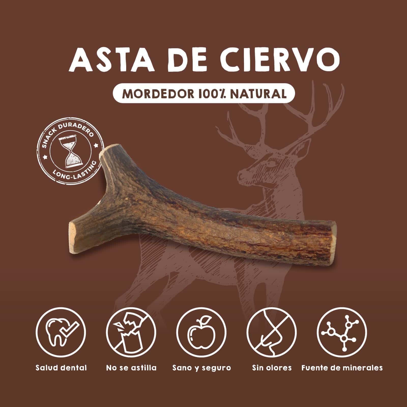 Astas de ciervo naturales para perros – mordedores duraderos que fortalecen la dentadura y mantienen entretenida a tu mascota