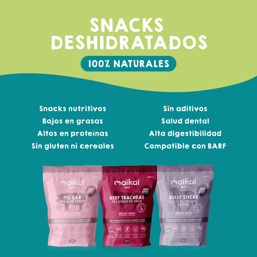 Caja de chuches naturales para perros grandes – selección de premios saludables y nutritivos para mascotas de tamaño grande