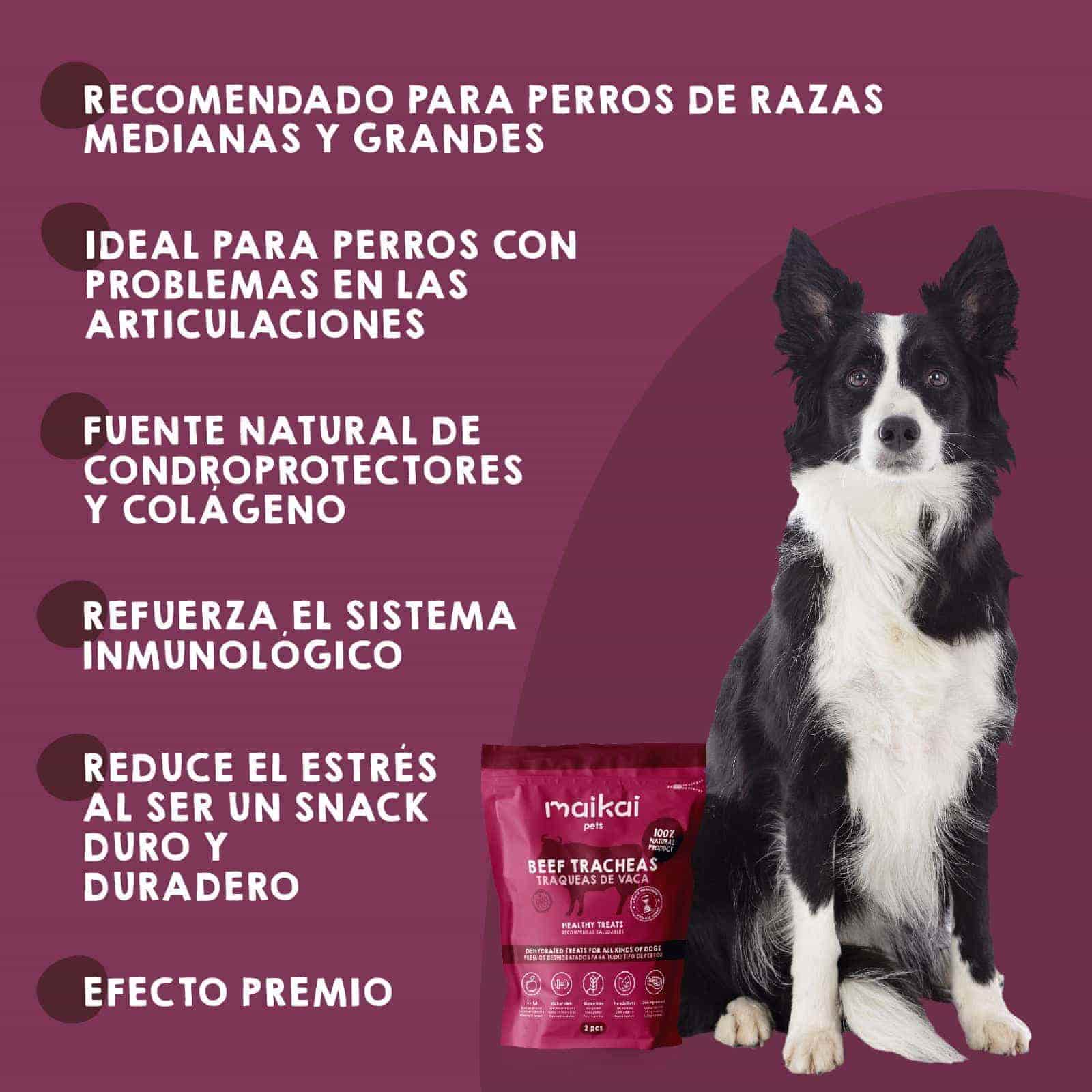 Chuches naturales de tráquea de vaca Maikai Pets para perros, snack saludable y duradero, rico en proteínas, ideal para mantener dientes y encías fuertes mientras tu perro se divierte.