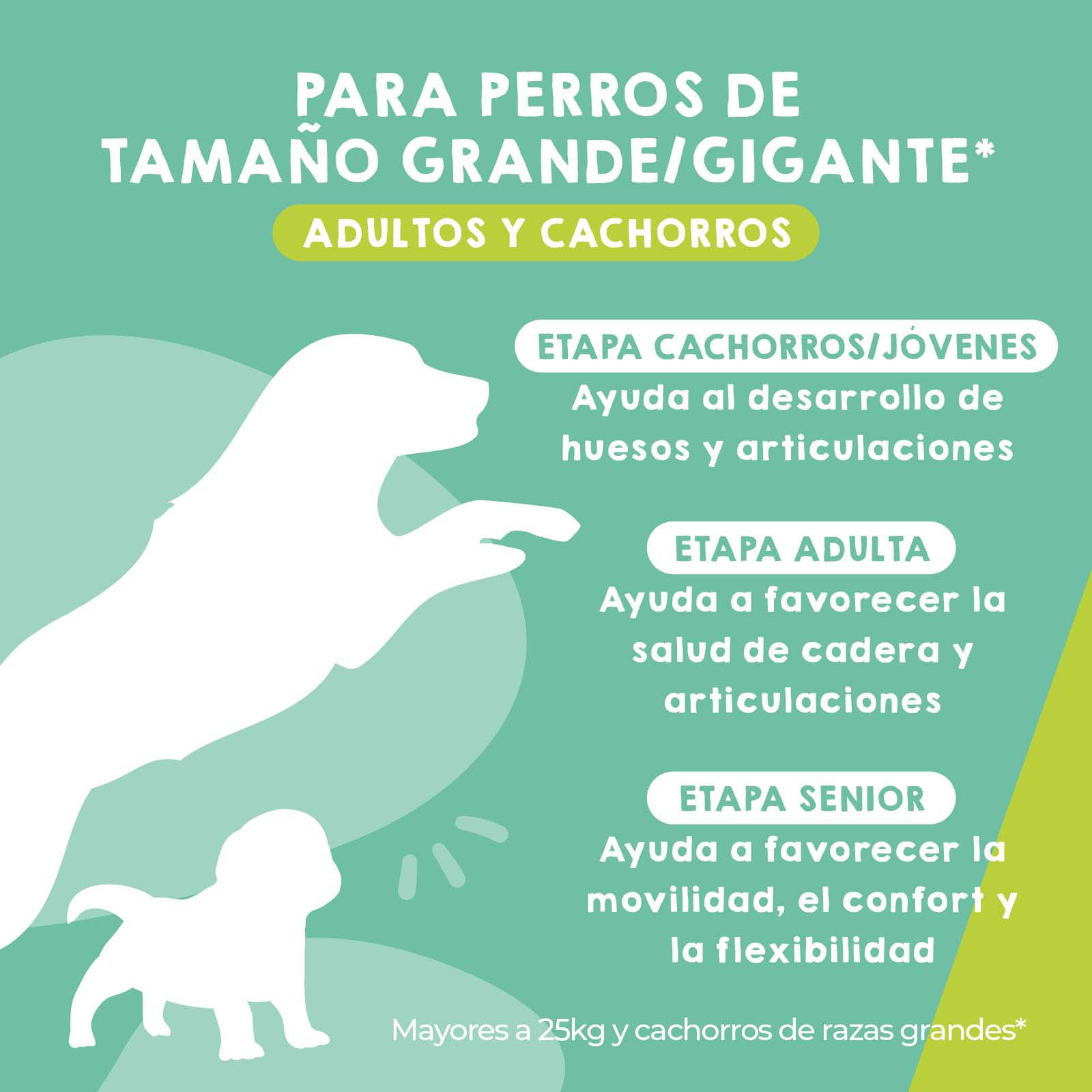 Condroprotector para perros adultos, suplemento natural que ayuda a mantener la salud articular y la movilidad