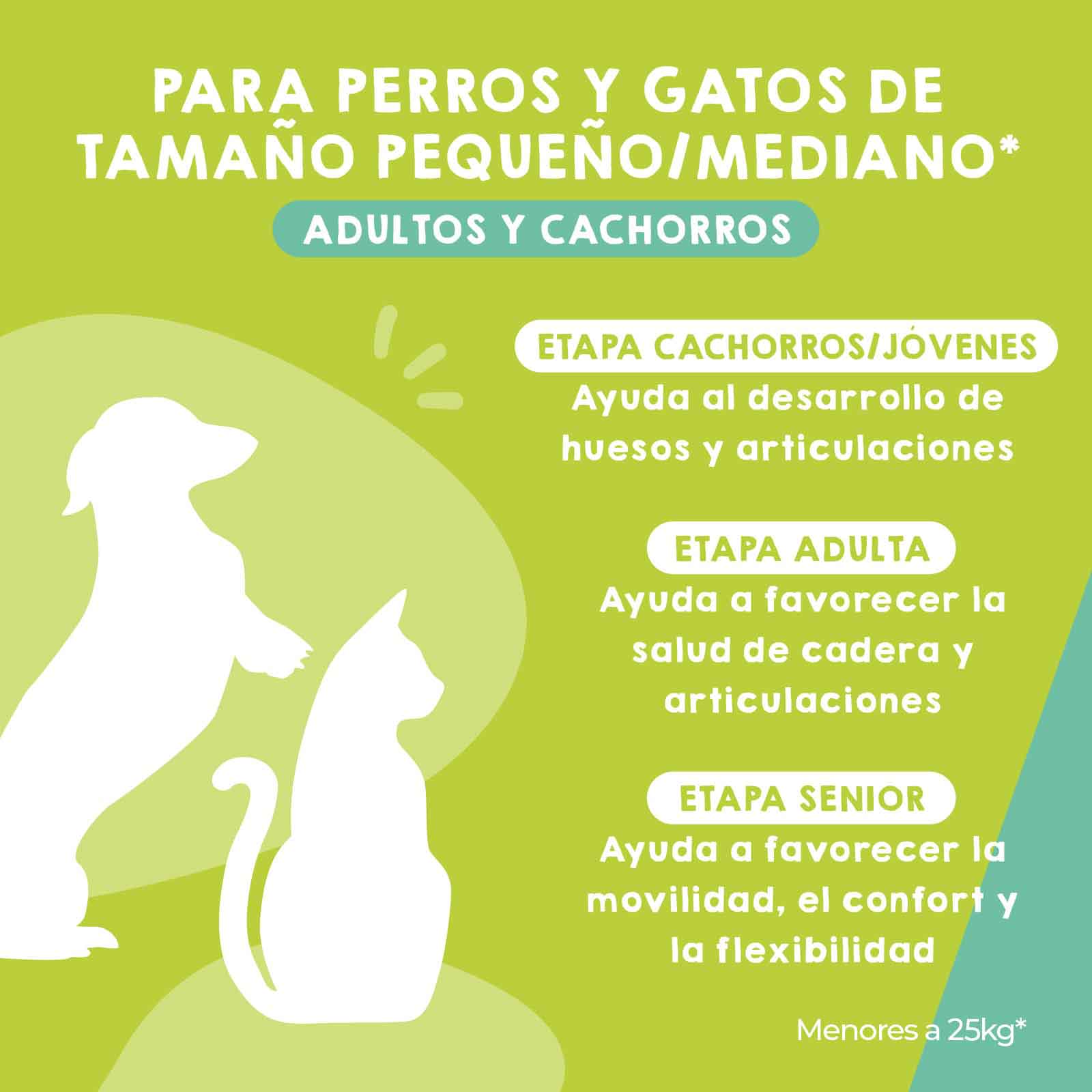 Condroprotectores para gatos adultos, suplemento natural que mejora la salud articular y la movilidad