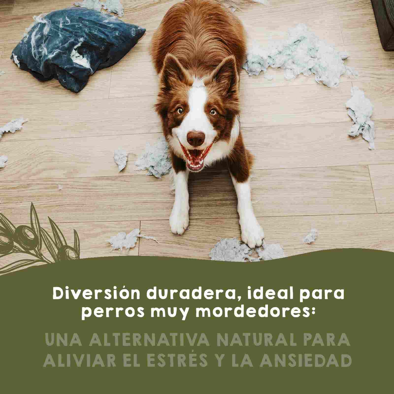 Juguetes de madera de olivo natural para perros, resistentes, ecológicos y seguros para una masticación duradera y saludable.