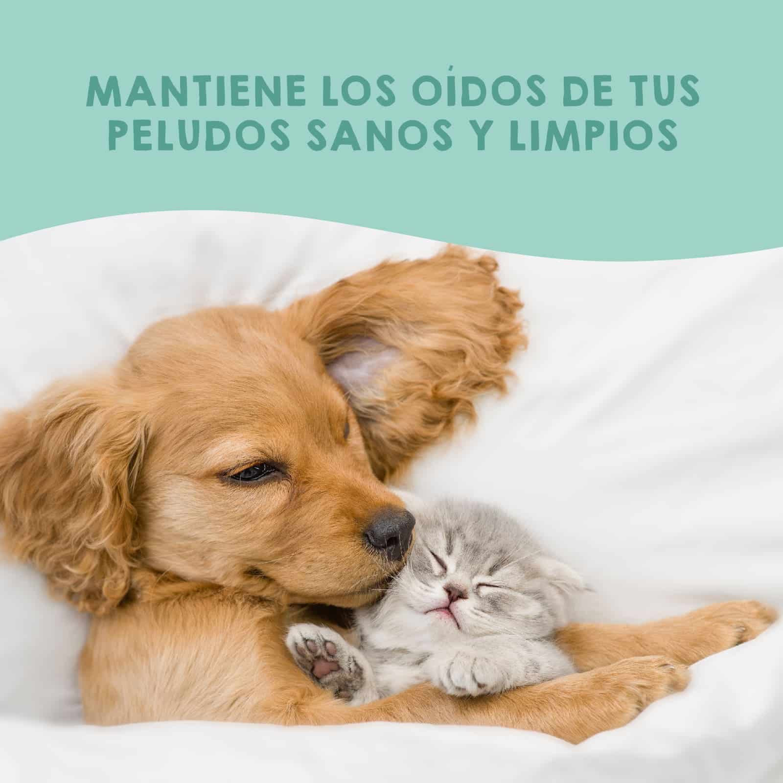 Limpiador de oídos hidratante Maikai Pets para perros y gatos