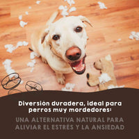 Madera de café natural para perros, ecológica y resistente, ideal como mordedor para mantener dientes y encías saludables.