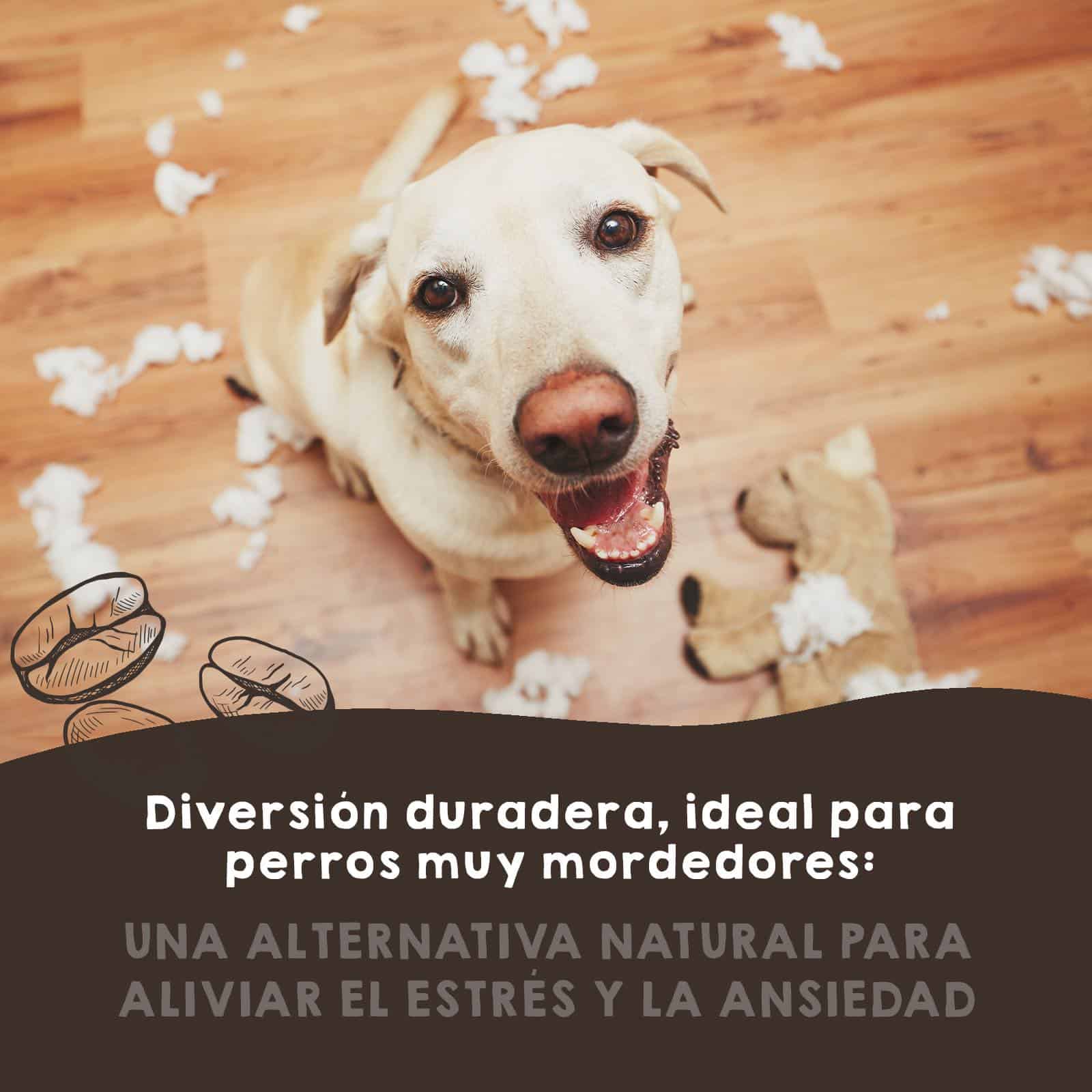 Madera de café natural para perros, ecológica y resistente, ideal como mordedor para mantener dientes y encías saludables.
