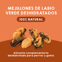Mejillones de labio verde deshidratados para gatos y perros, snack natural rico en glucosamina para la salud articular