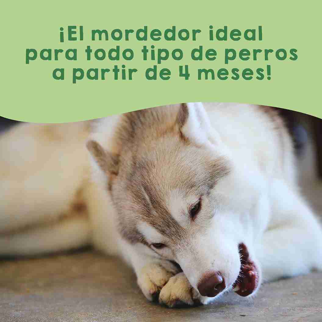 Mordedores de queso del Himalaya para perros – snacks naturales duraderos que fortalecen la dentadura y entretienen a tu mascota