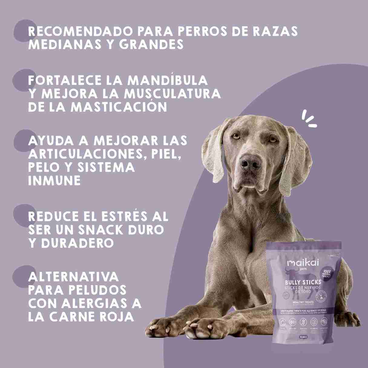 Nervios de toro chuches para perros, beneficios de este snack natural para la salud dental y el entretenimiento
