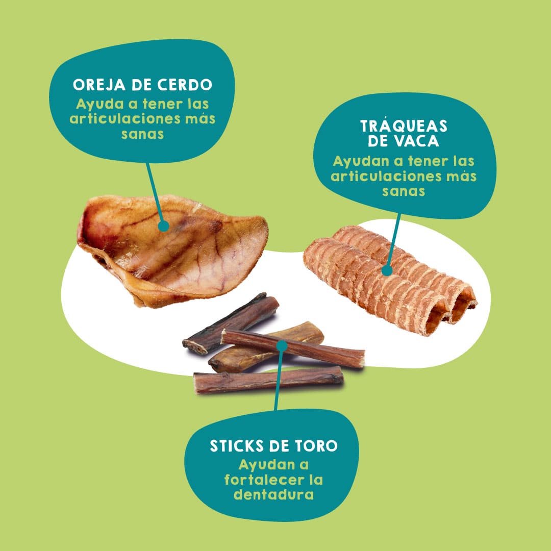 Pack de premios naturales para perros grandes – snacks saludables y nutritivos adaptados a mascotas de tamaño grande