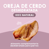 Premio deshidratado de oreja de cerdo Maikai Pets para perros, snack natural y saludable, ideal para mantener dientes y encías fuertes mientras tu perro disfruta de un premio sabroso