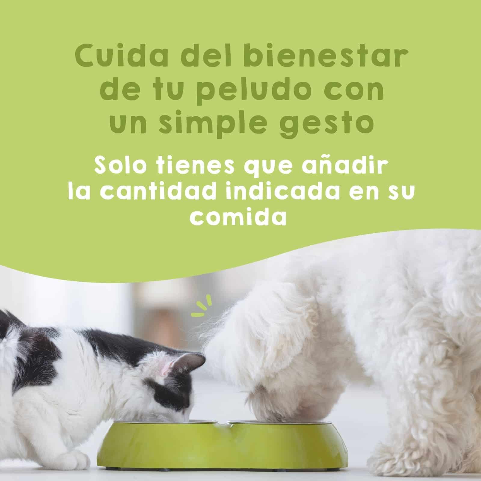 Probiótico natural Maikai Pets para perros, suplemento que ayuda a mejorar la digestión, equilibrar la flora intestinal y fortalecer el sistema inmunológico de tu mascota.