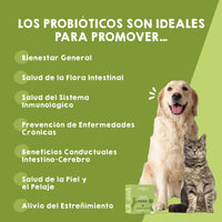 Probióticos naturales Maikai Pets para perros y gatos, suplemento que mejora la digestión, fortalece el sistema inmune y mantiene la salud intestinal de tu mascota.