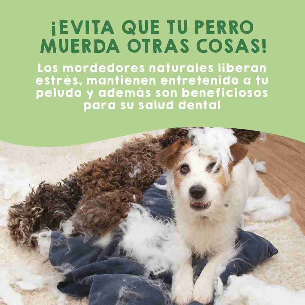 Queso del Himalaya sin lactosa para perros – snack natural duradero que fortalece la dentadura y mantiene entretenida a tu mascota