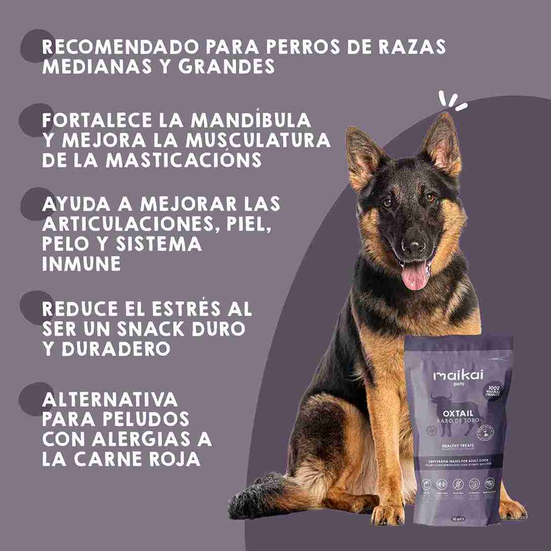 Rabo de toro deshidratado para perros, snack natural y duradero que fortalece dientes y encías