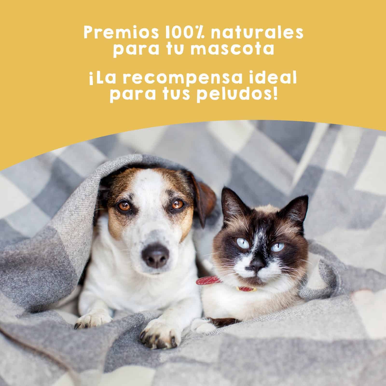Snack natural de tiras de pollo Maikai Pets para perros y gatos, 100% saludable, rico en proteínas, ideal como premio o complemento nutricional en la dieta diaria de tu mascota.
