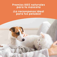 Snacks de mejillones de labio verde deshidratado para perros, premios naturales ricos en glucosamina que apoyan la salud articular