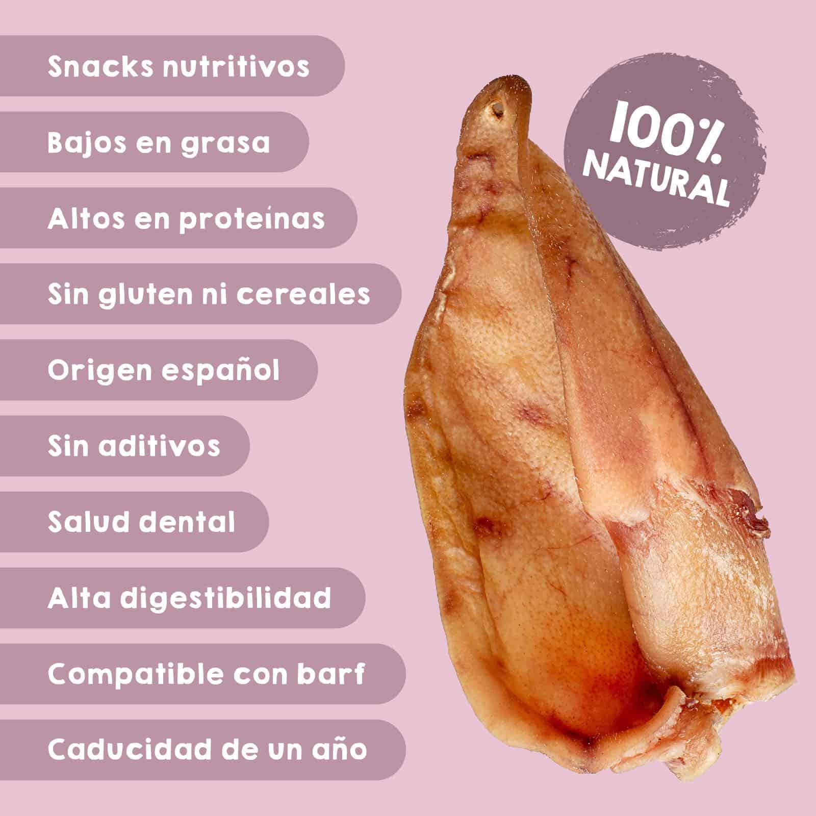 Snacks deshidratados de oreja de cerdo Maikai Pets para perros, 100% naturales, duraderos y ricos en proteínas, perfectos para cuidar dientes y encías mientras tu perro se entretiene.