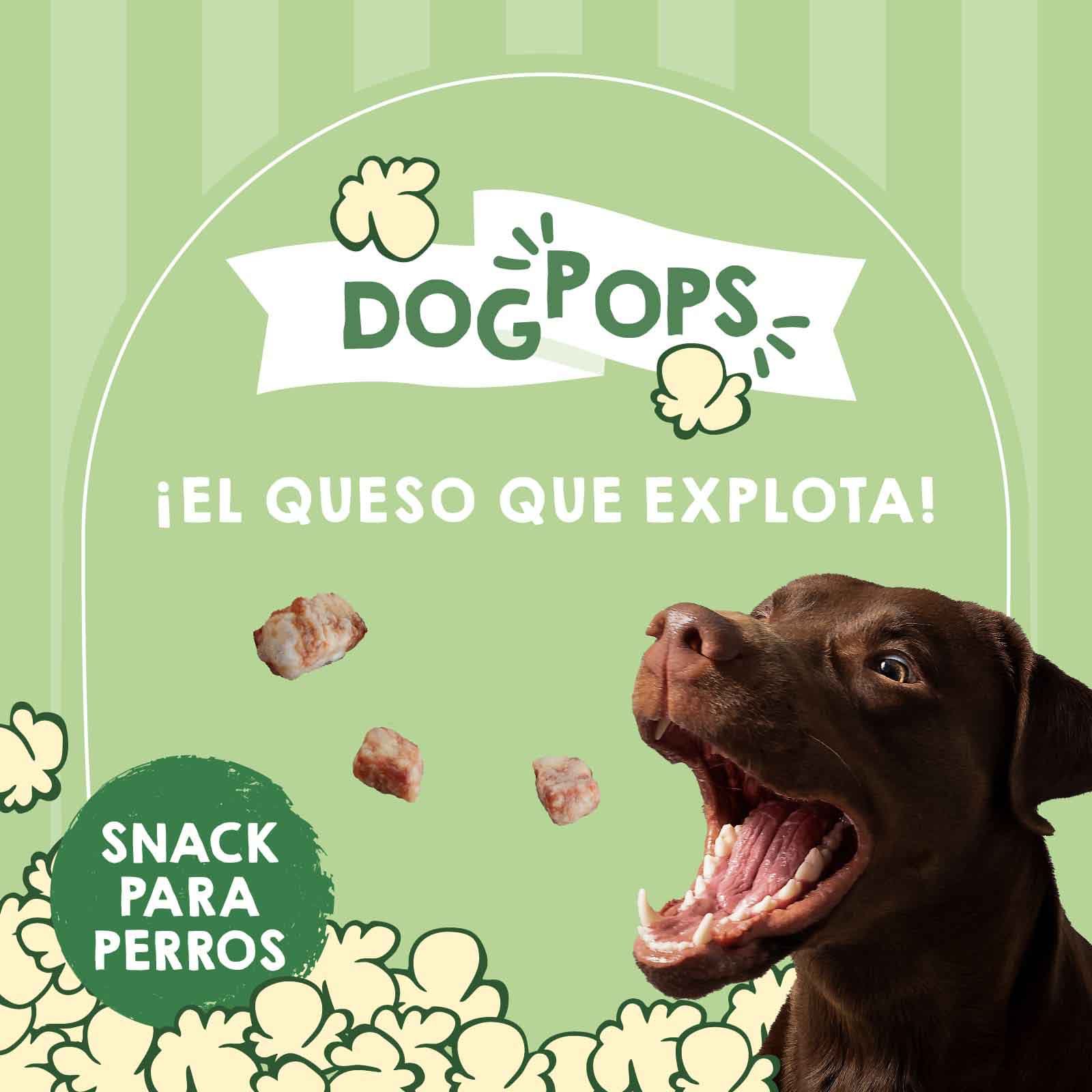 Snack crujiente de queso del Himalaya para perros, premio natural masticable que favorece la salud dental