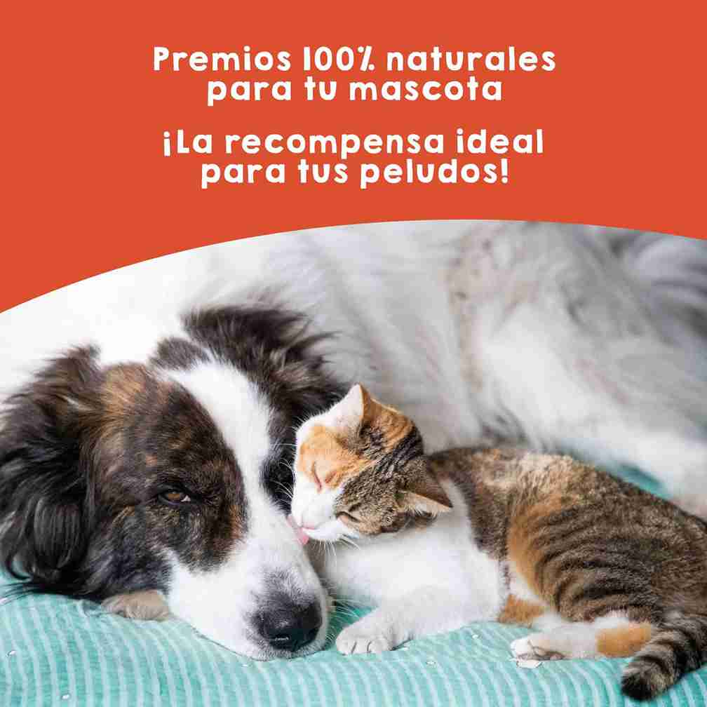 Snacks de piel de salmón para perros, premio natural rico en omega 3 que mejora la salud de piel y pelaje