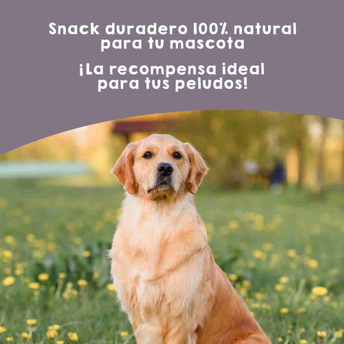 Snacks de rabo de toro para perros, premios naturales masticables que fortalecen dientes y encías