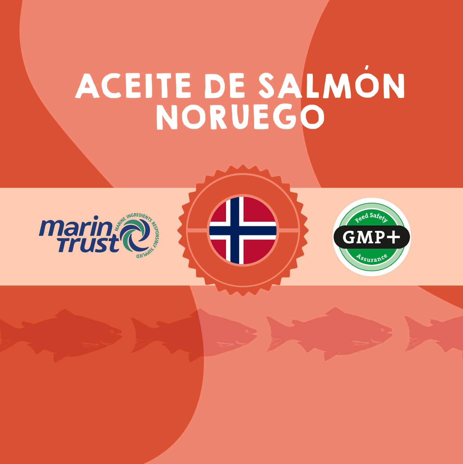 El mejor aceite de salmón para perros y gatos.