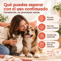 Propiedades y beneficios del omega-3 del aceite de salmón para perros y gatos