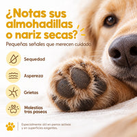 Almohadillas secas o agrietadas en perros: cuidado diario con el reparador en spray