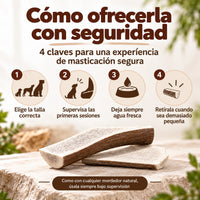 Corna di cervo naturali - Dimezzate