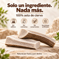 Corna di cervo naturali - Dimezzate