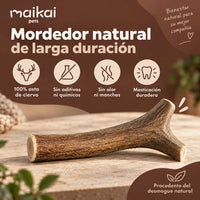 Asta de ciervo natural - Enteras