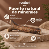 Asta de ciervo natural - Enteras