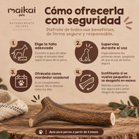 Asta de ciervo natural - Enteras