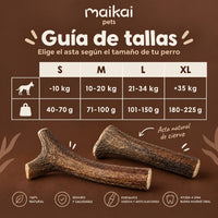 Asta de ciervo natural - Enteras