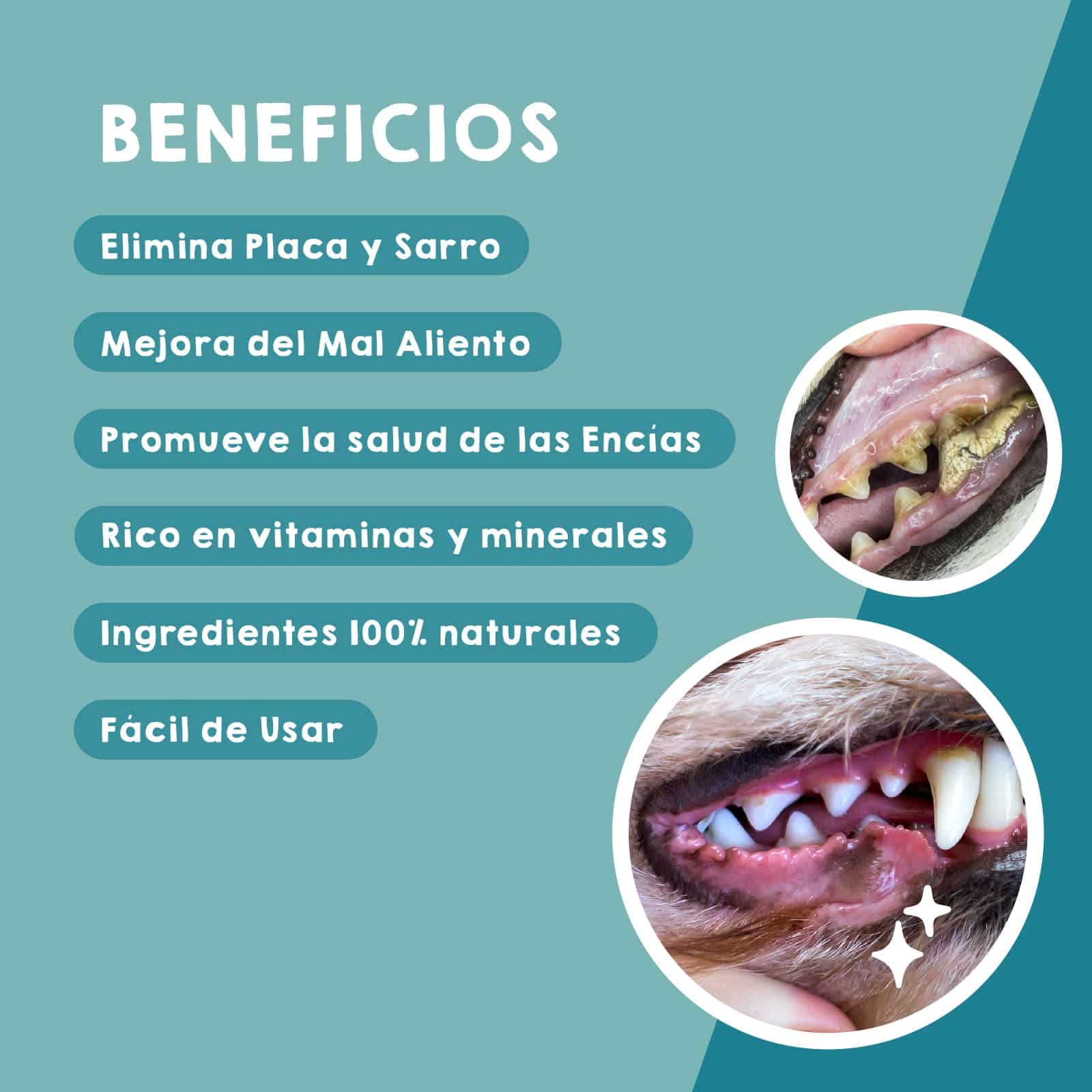 Limpiador dental Maikai Pets para mascotas, producto natural que ayuda a mantener dientes y encías saludables, reduciendo sarro y mal aliento en perros y gatos.