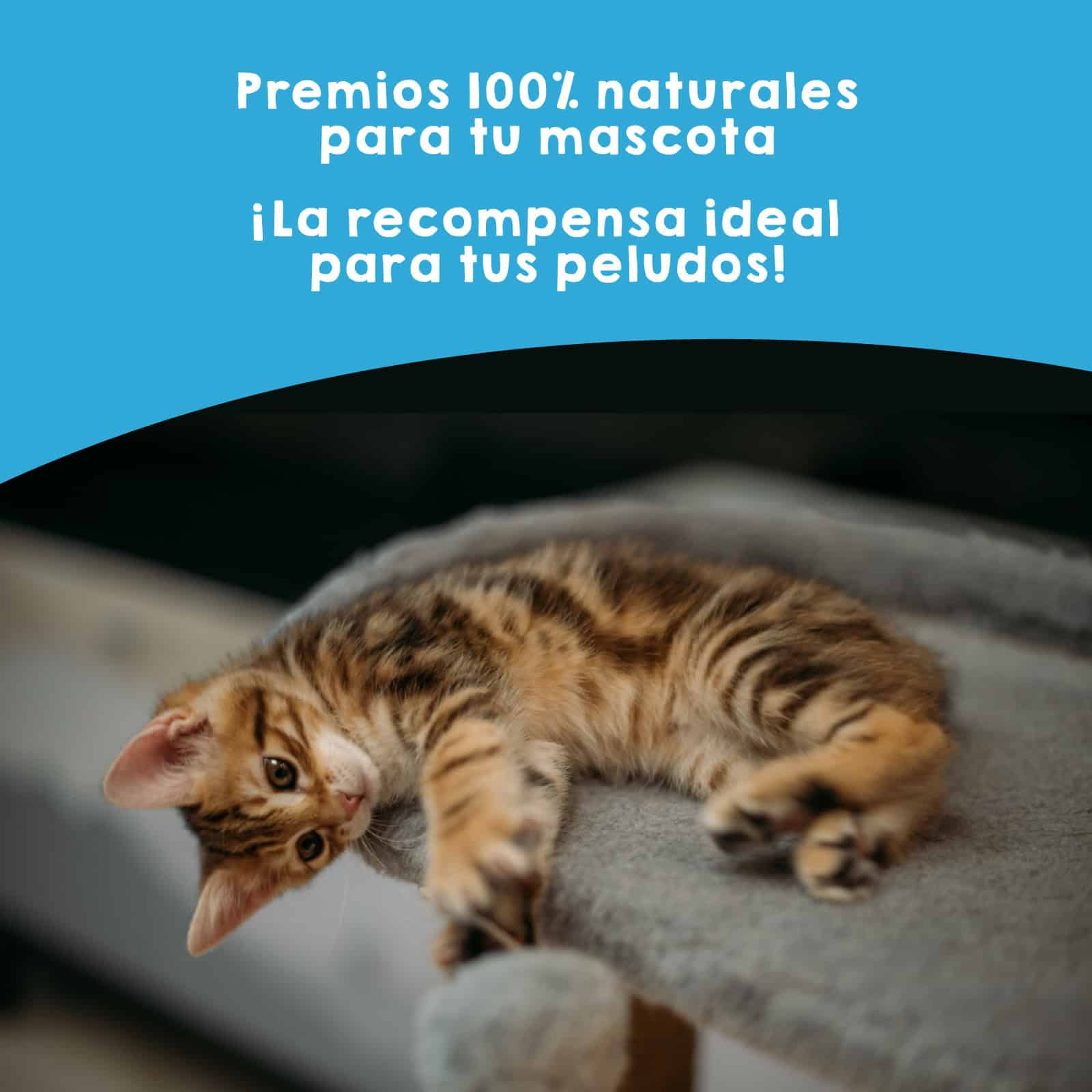 Bocaditos crujientes de pescado Maikai Pets para perros y gatos, snack natural deshidratado, rico en proteínas y omega 3 para una dieta saludable.