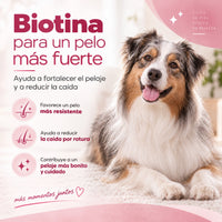 Champú hipoalergénico con Aloe y Biotina – Piel calmada y pelo sano