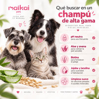 Champú hipoalergénico con Aloe y Biotina – Piel calmada y pelo sano