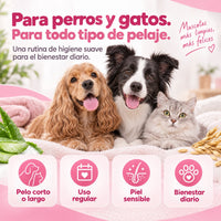 Champú hipoalergénico con Aloe y Biotina – Piel calmada y pelo sano