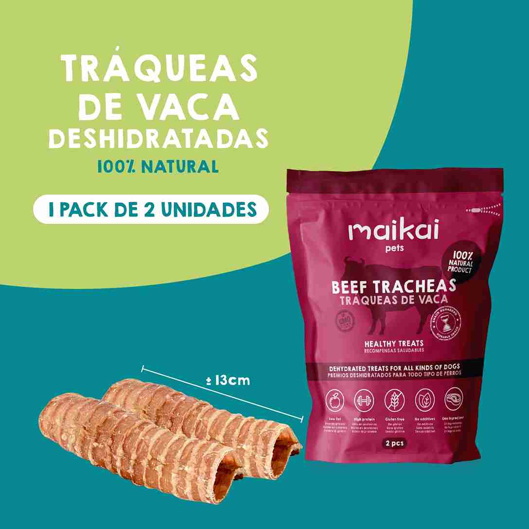Premios naturales para perros – snacks saludables y nutritivos que cuidan la salud y felicidad de tu mascota
