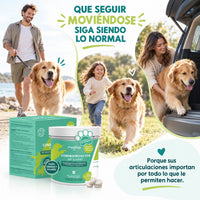 Composición del condroprotector para perros grandes y gigantes