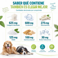 Fórmula con más de 10 activos: colágeno, glucosamina, condroitina, ácido hialurónico, MSM y omega-3