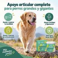 Condroprotector para perros grandes que apoya su movilidad cuando moverse cuesta más